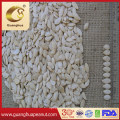 Snow White Pumpkin Seed Kernels